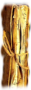 Vieux registre allonge